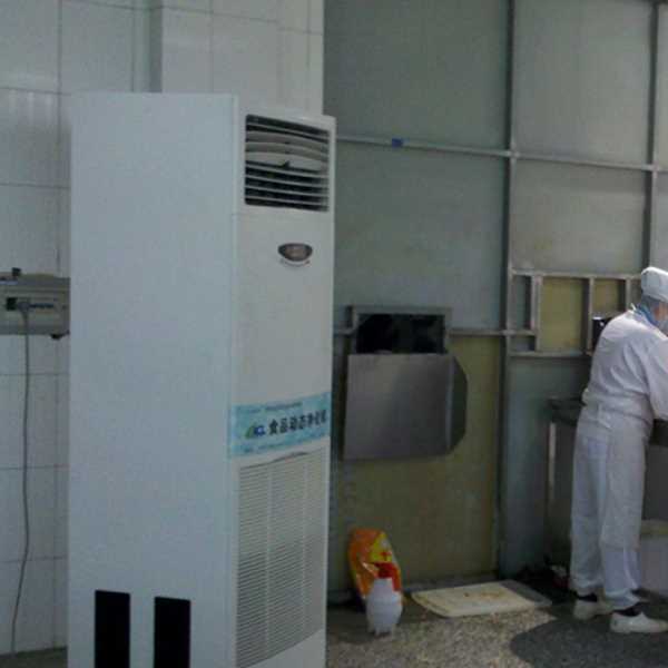 普洱食品正负离子空气杀菌器